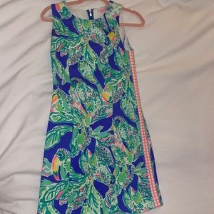 Lilly Dress worn once